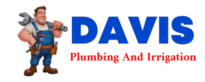 Trusted plumber in BUSTINS ISLAND